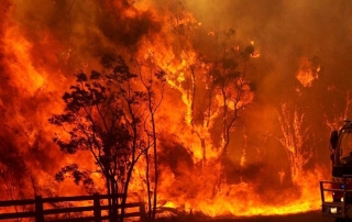 Bush Fire Season | Tips