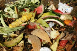 Food Scraps Cleanup Food Scraps & Squalor Cleaning