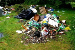 Eviction Cleaning Services | Brisbane QLD Eviciton & Squalor Cleaning
